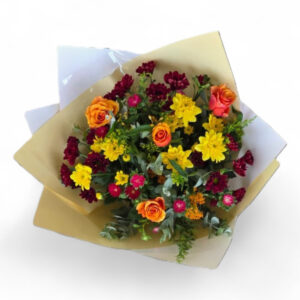 צבעוני מהפנט