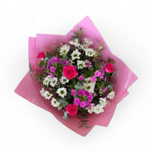 מלכת הפלוקסיה