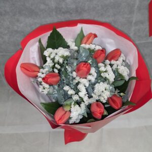 טוליפ אדום קלאסי