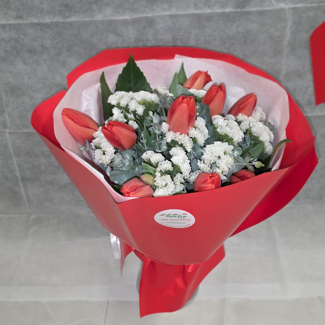 טוליפ אדום קלאסי