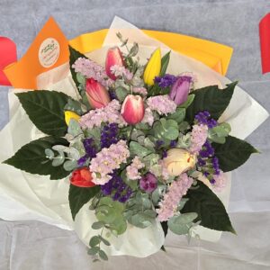 טוליפ צבעוני