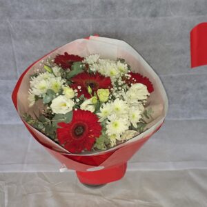 אדום לבן | בינוני