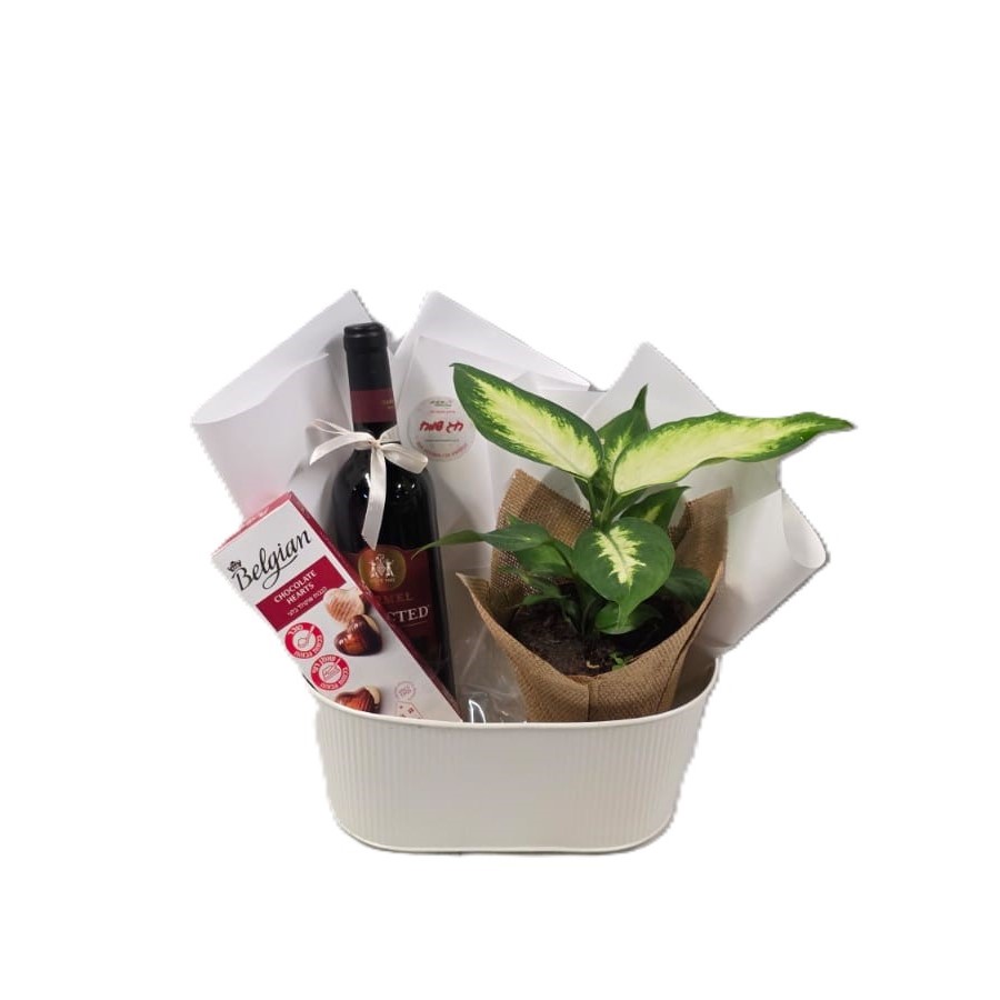 מארז לפסח | דיפנבכיה, יין ושוקולד