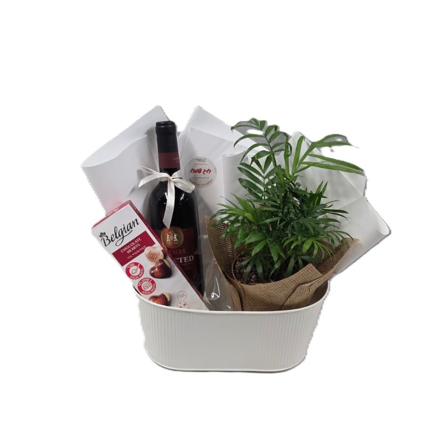 מארז לפסח | דקל ננסי, יין ושוקולד