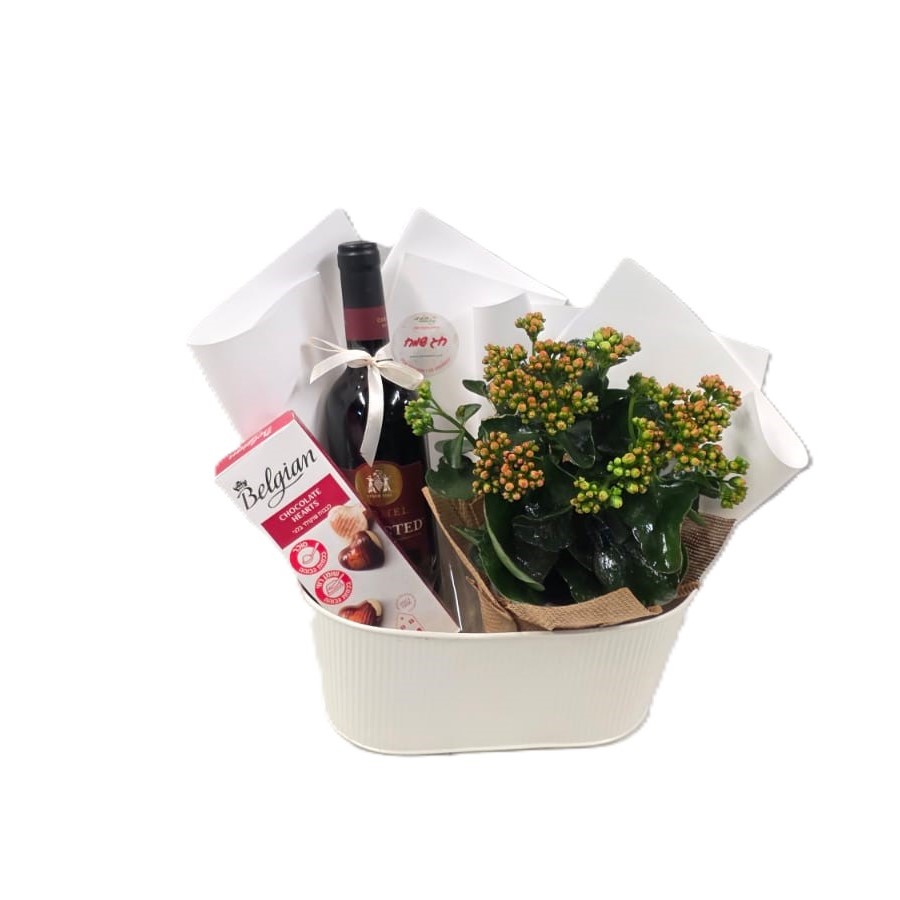 מארז לפסח | ניצנית יין ושוקולד