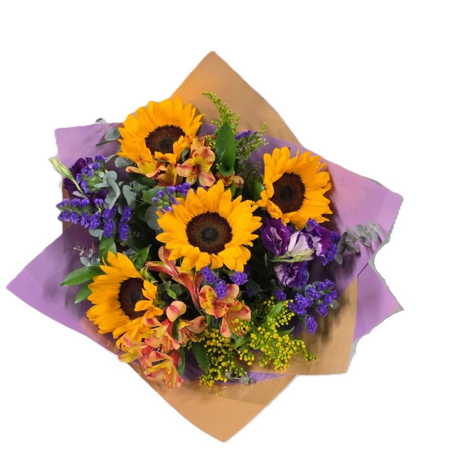 זר שמש במדבר